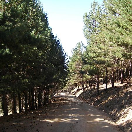 Hostal Rural Poqueira Capileira Exteriör bild