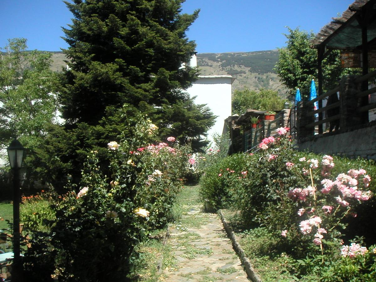 Hostal Rural Poqueira Capileira Exteriör bild